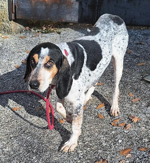 Gustavo 4 anni tripode Foto 3