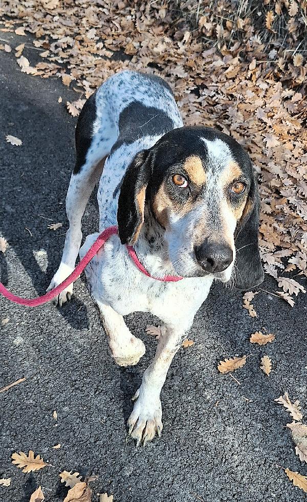 Gustavo 4 anni tripode Foto 4