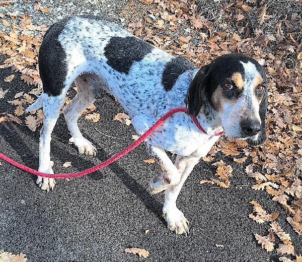 Gustavo 4 anni tripode Foto 5
