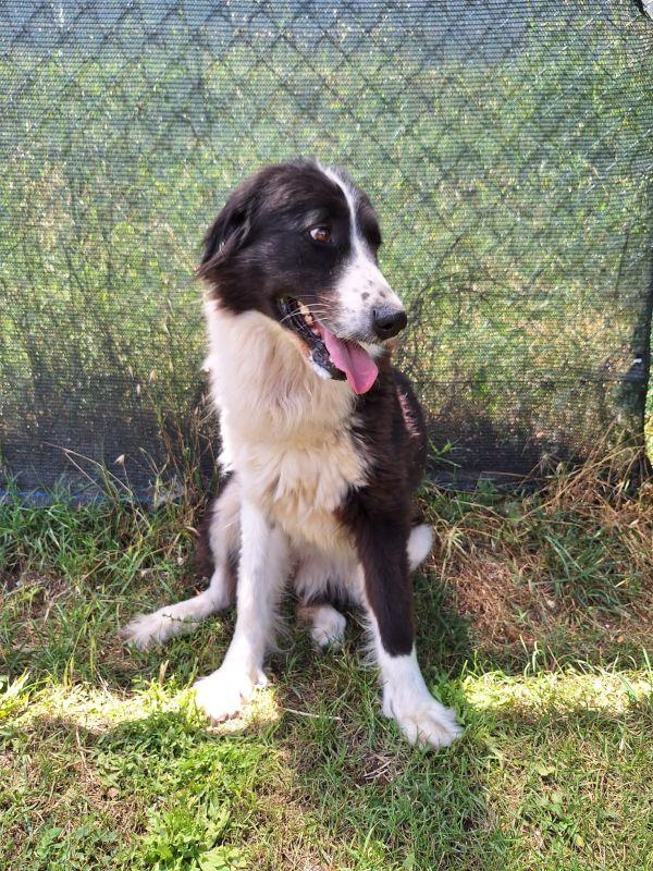 Moon Stupenda Nonnina