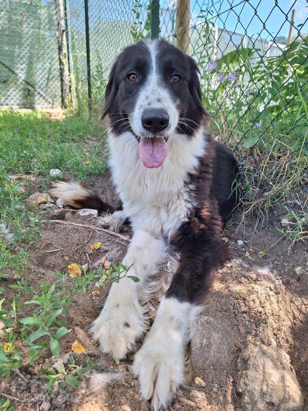 Moon stupenda nonnina Foto 2