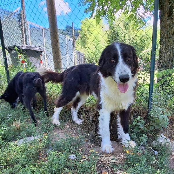 Moon stupenda nonnina Foto 4