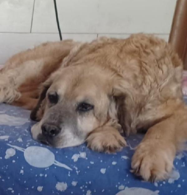 Sara 12anni di vita senza casa! ROMA Foto 4