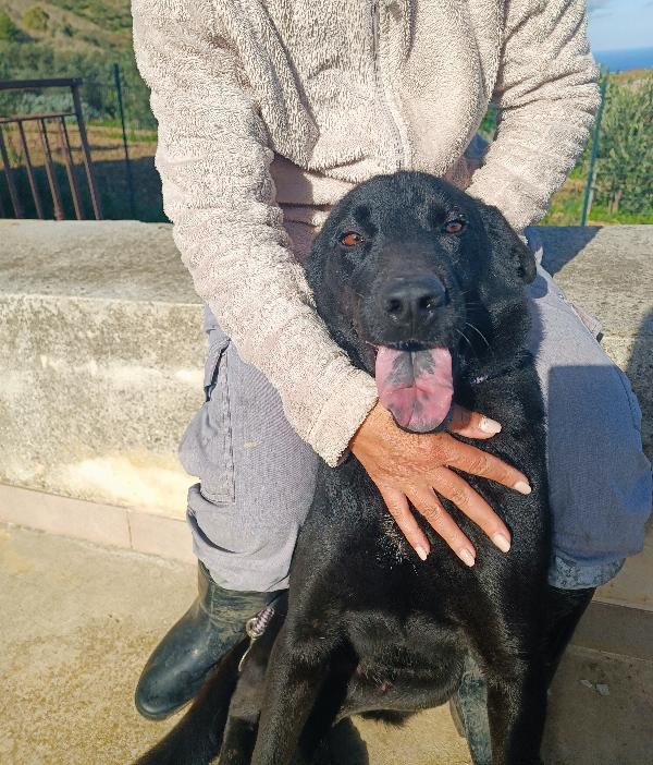 Invisibile Perché??? 