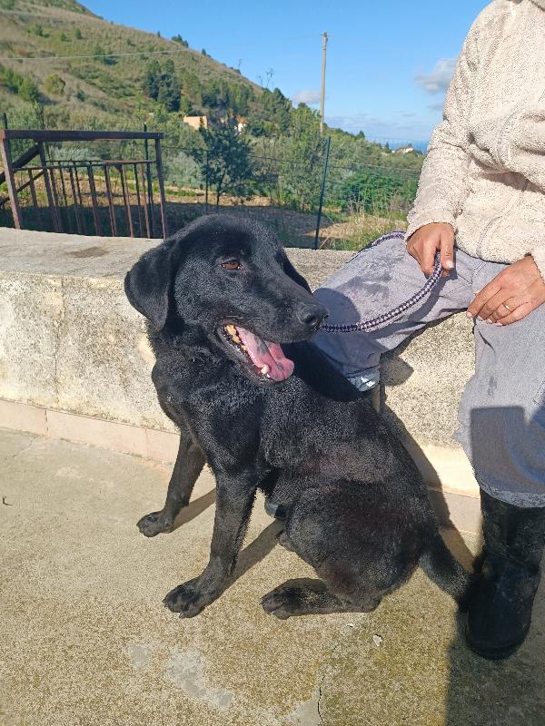 Invisibile perché???  Foto 2