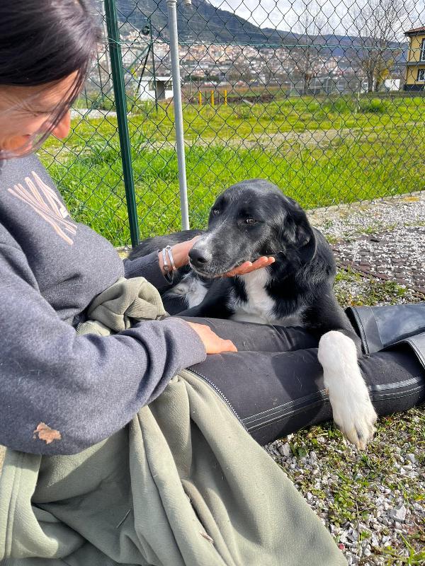Pako, andate oltre alla sua taglia, guardate la dolcezza  Foto 6