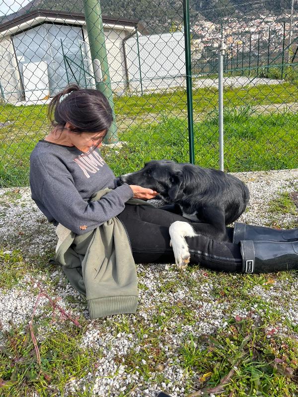Pako, andate oltre alla sua taglia, guardate la dolcezza  Foto 7