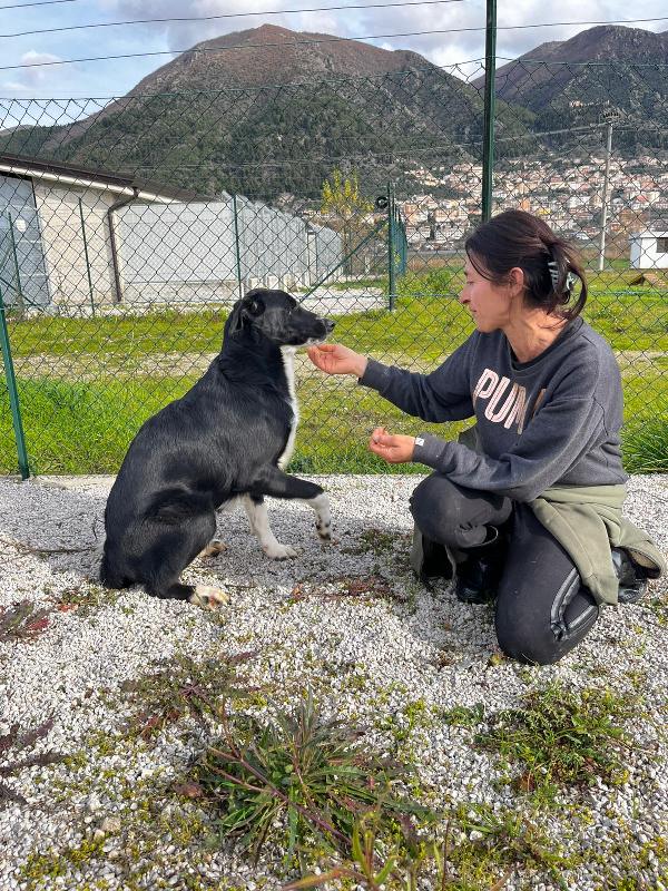Pako, andate oltre alla sua taglia, guardate la dolcezza  Foto 9
