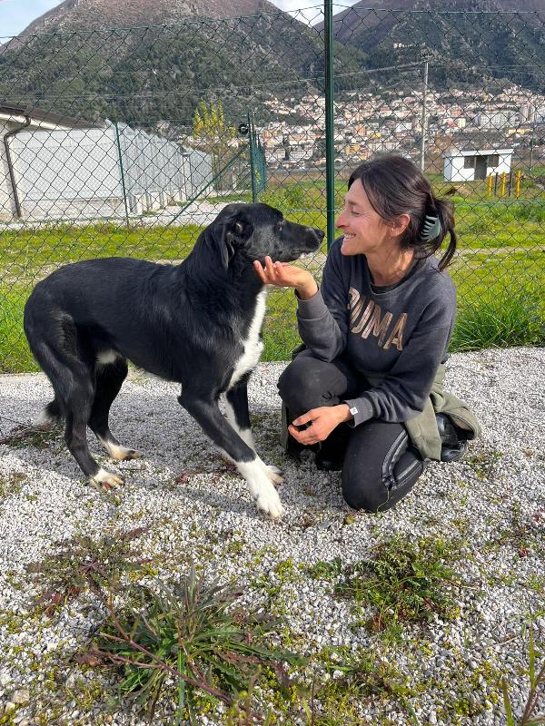 Pako, andate oltre alla sua taglia, guardate la dolcezza  Foto 10