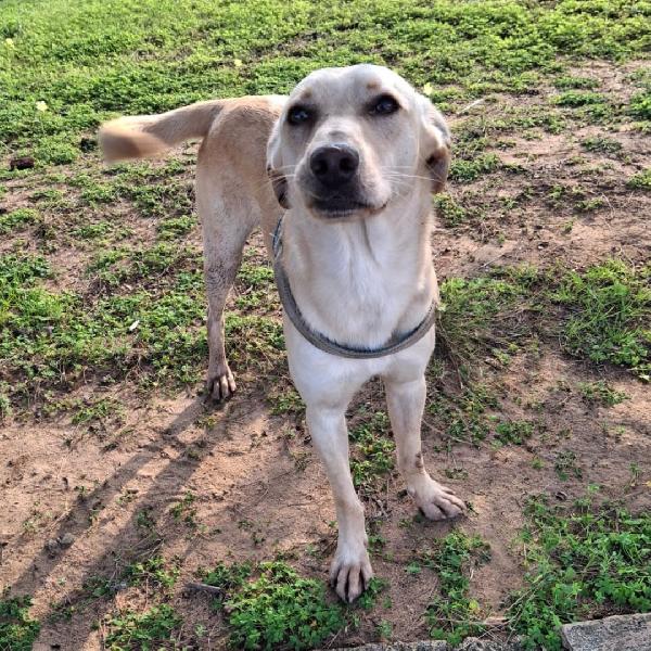 Olly..aspetta babbo Natale Foto 3