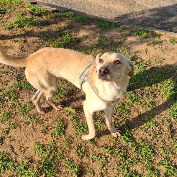 Olly..aspetta babbo Natale Foto 2