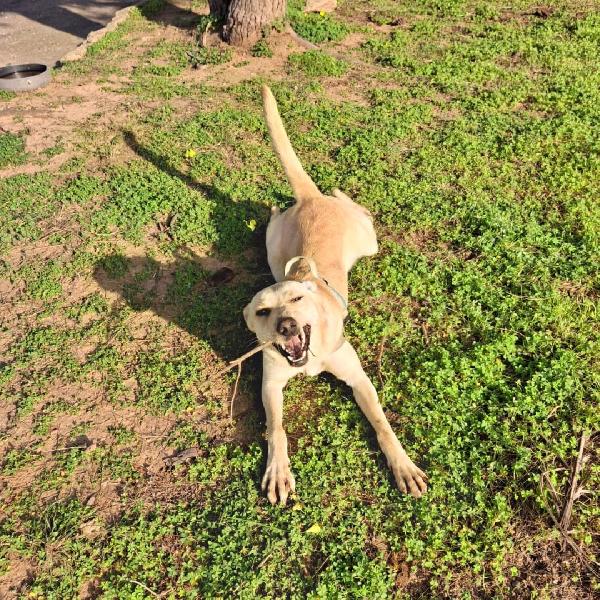 Olly..aspetta babbo Natale Foto 6