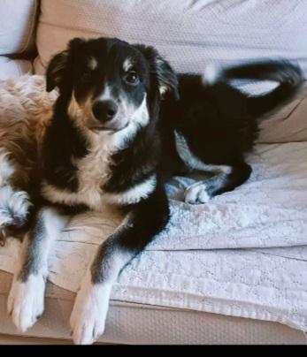 Kaos 8Mesi Nessuna Richiesta ! Gargano