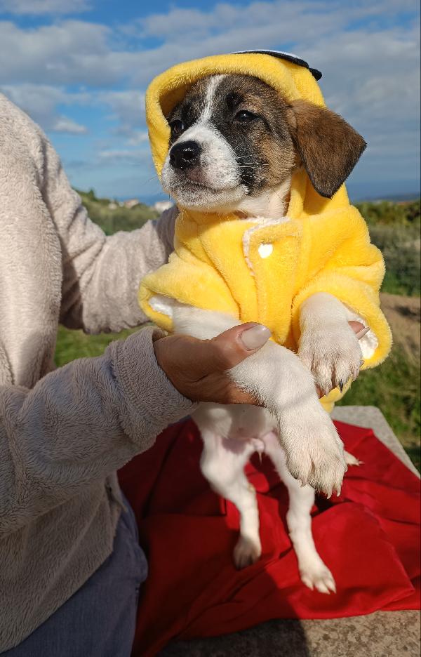 Betty 2 mesi e mezzo  Foto 4