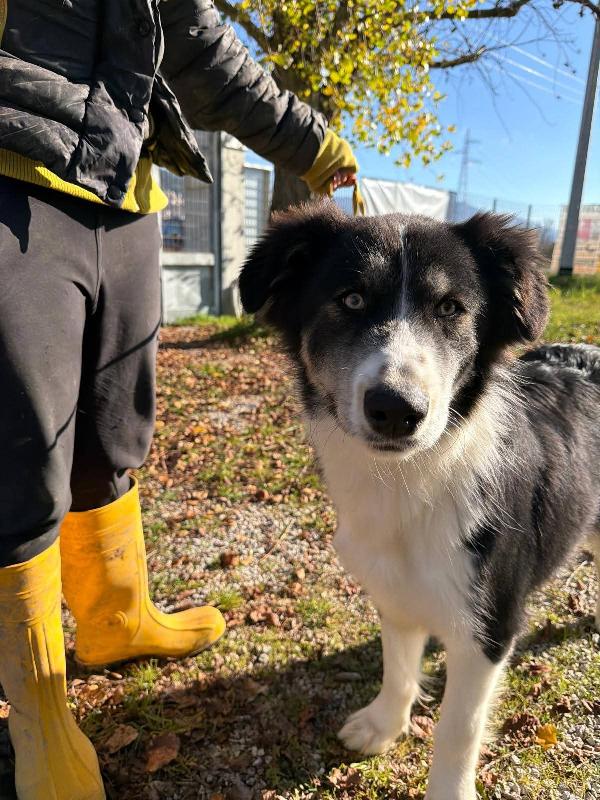 Arya Capolavoro Della Natura 
