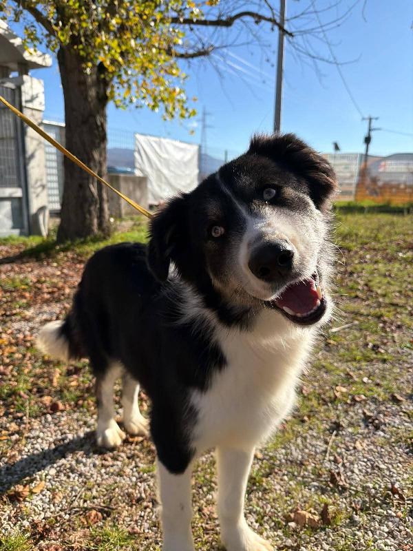 Arya capolavoro della natura  Foto 4