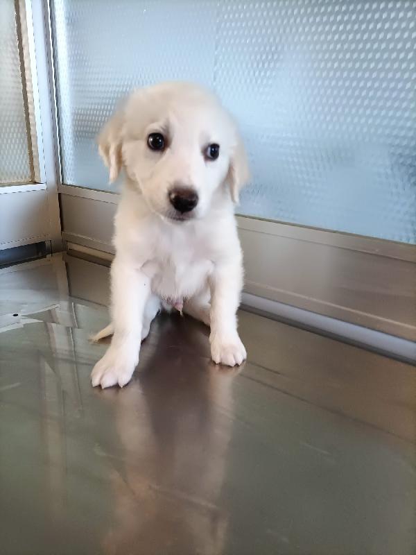 Danny incantevole Foto 2