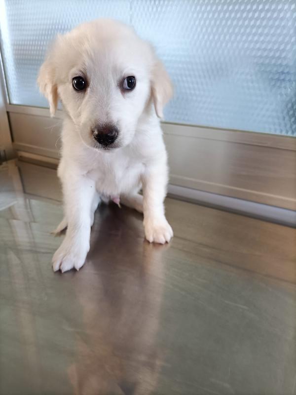 Danny incantevole Foto 3