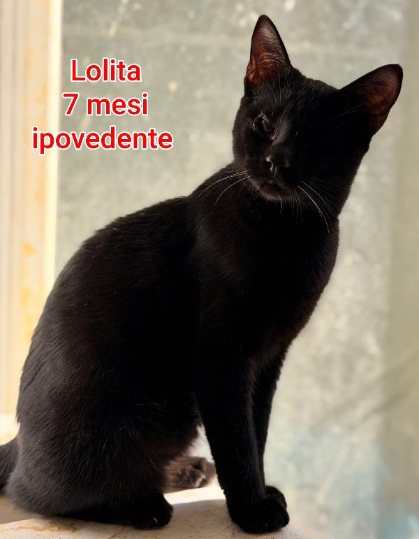 MICINI ESCLUSI DA TUTTI Foto 2