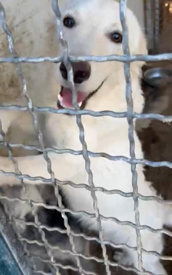 REY: DA 1 ANNO RINCHIUSO  Foto 6