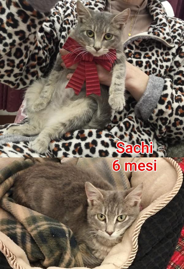 TELEFONA PER UN MICIO Foto 10