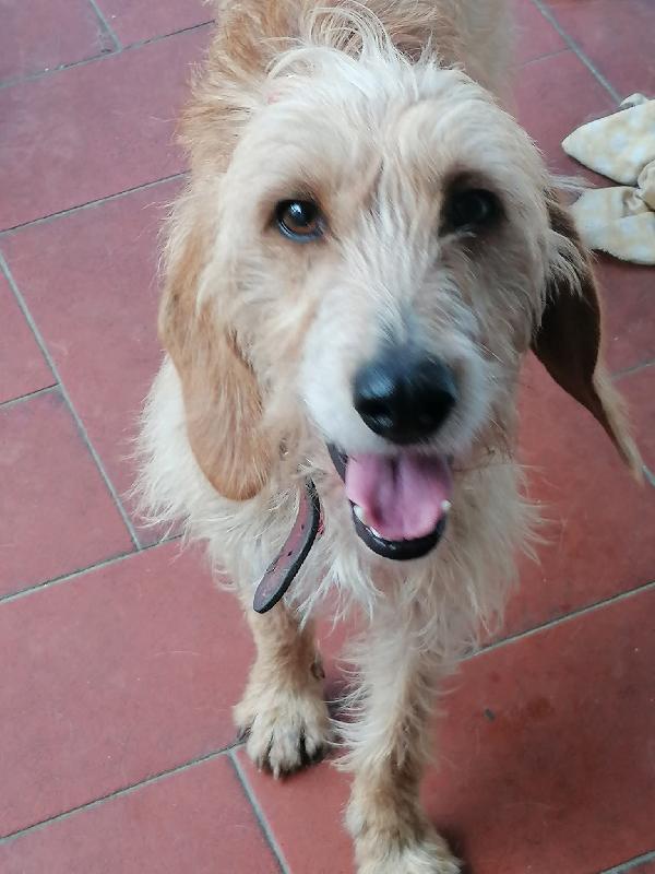 BIRBA CERCA CASA Foto 2