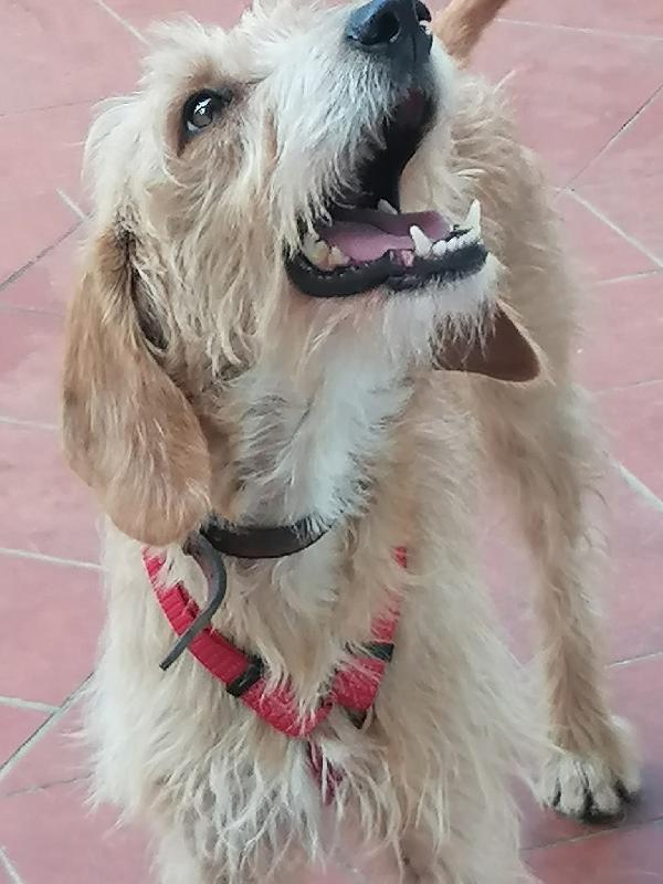 BIRBA CERCA CASA Foto 3