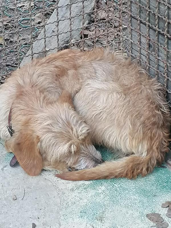 BIRBA CERCA CASA Foto 4