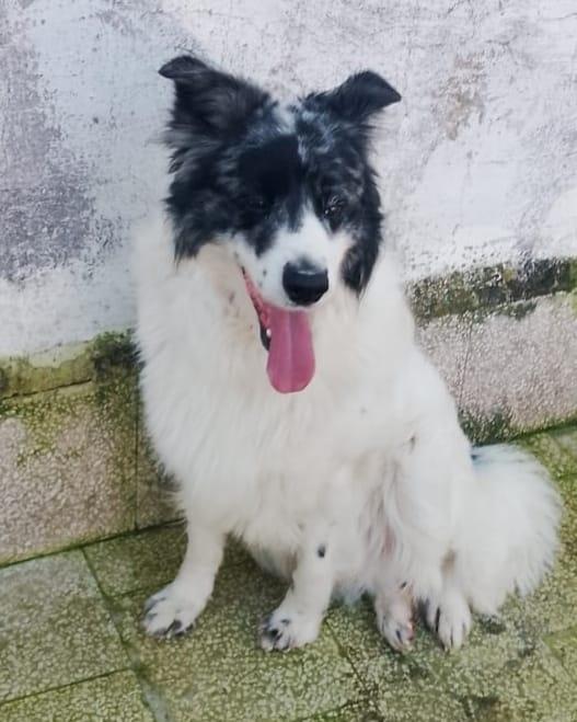 Alex È Solo E Continua A Piangere 