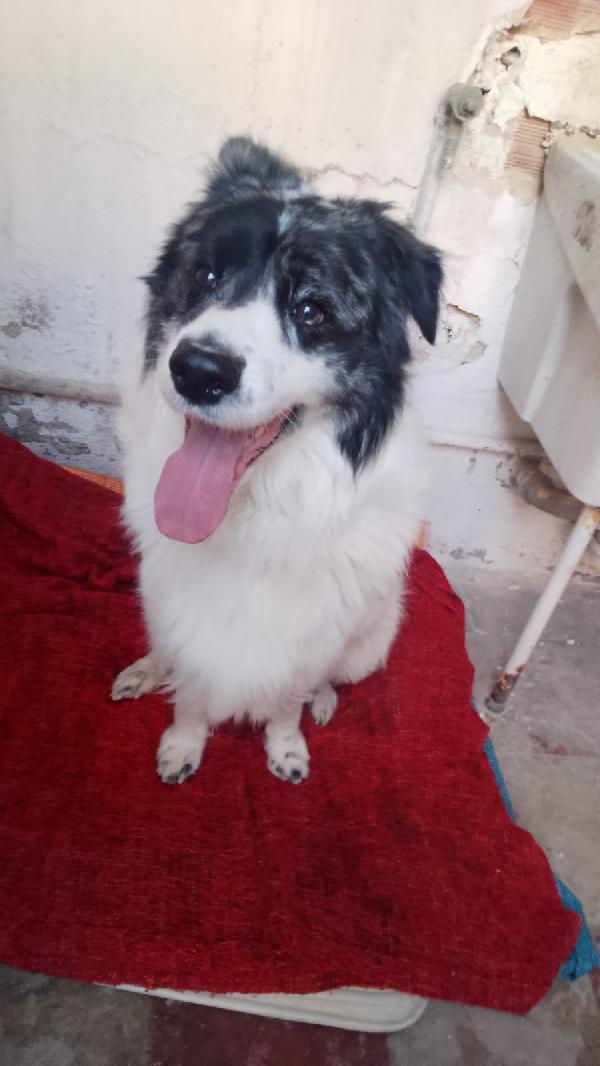 Alex è solo e continua a piangere  Foto 3