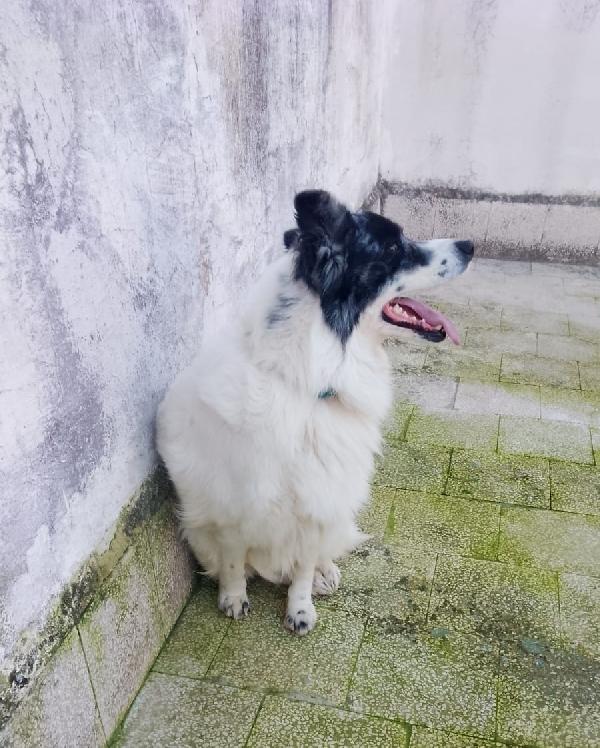 Alex è solo e continua a piangere  Foto 4