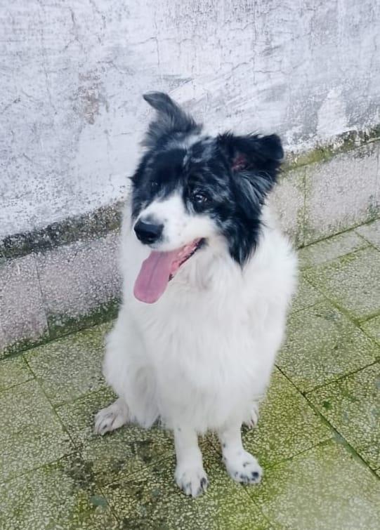 Alex è solo e continua a piangere  Foto 5