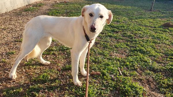 Ginny Visibile A Pavia 