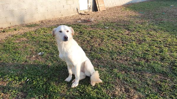 Ginny visibile a Pavia  Foto 2