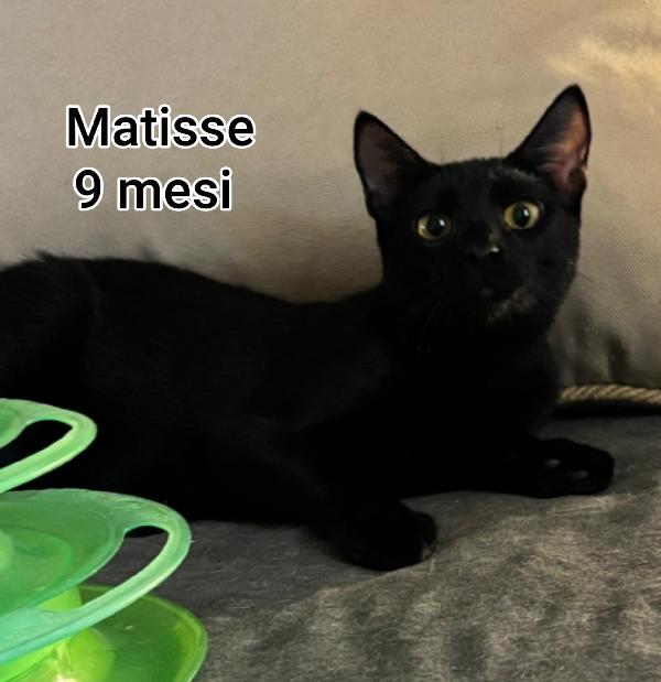 TANTI MICINI SOLI! Foto 6