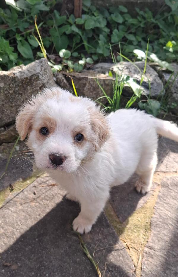 Fragola e Lee  Foto 3