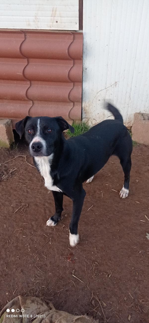 🥺🥺💙🥺🥺💙🥺💙🥺💙🥺💙🥺🥺💙🥺💙🥺💙