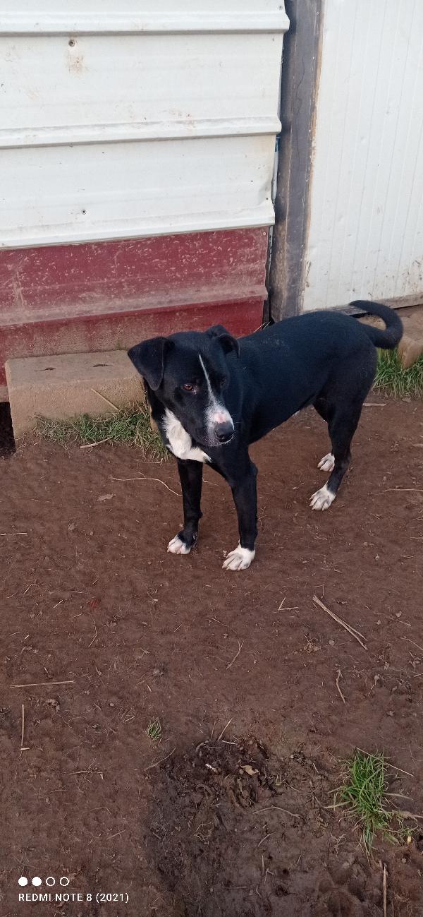 🥺🥺💙🥺🥺💙🥺💙🥺💙🥺💙🥺🥺💙🥺💙🥺💙 Foto 4