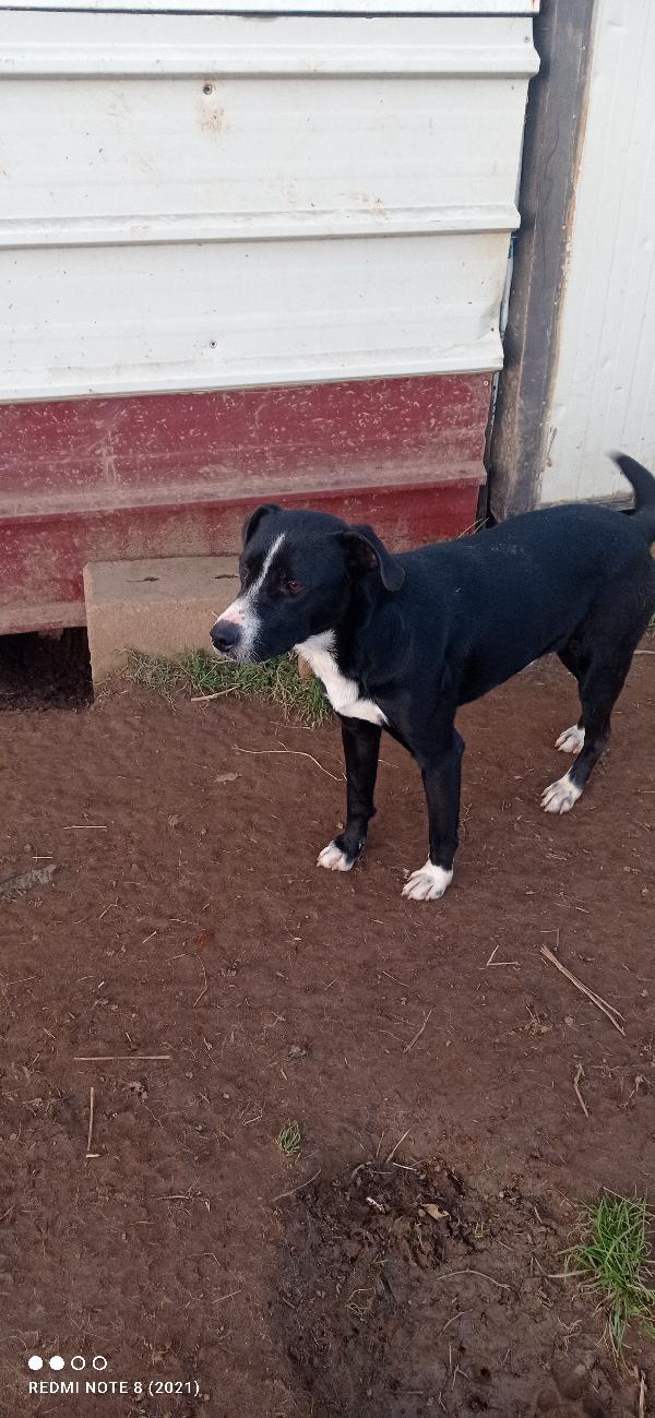 🥺🥺💙🥺🥺💙🥺💙🥺💙🥺💙🥺🥺💙🥺💙🥺💙 Foto 5