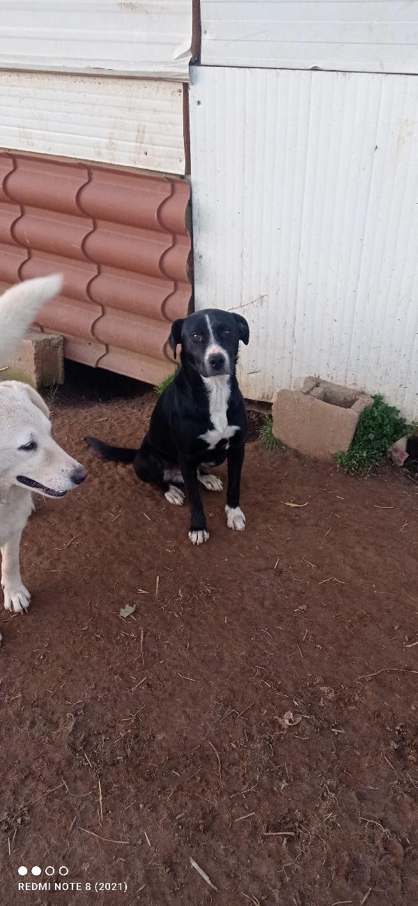 🥺🥺💙🥺🥺💙🥺💙🥺💙🥺💙🥺🥺💙🥺💙🥺💙 Foto 6