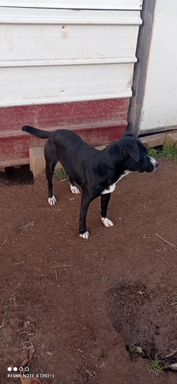 🥺🥺💙🥺🥺💙🥺💙🥺💙🥺💙🥺🥺💙🥺💙🥺💙 Foto 7