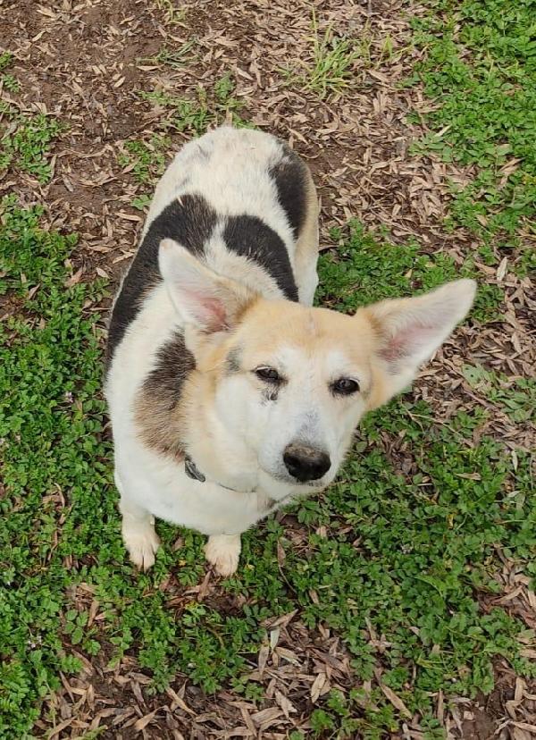 Dea, Nonnina Dimenticata💕