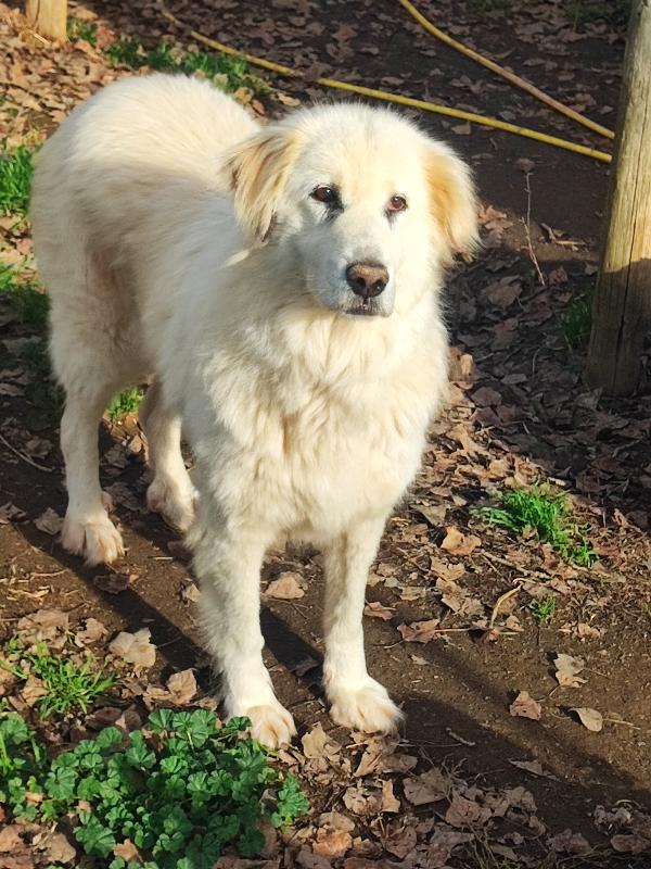 Venere, Chi È Più Bella Di Lei..si Trucca💕