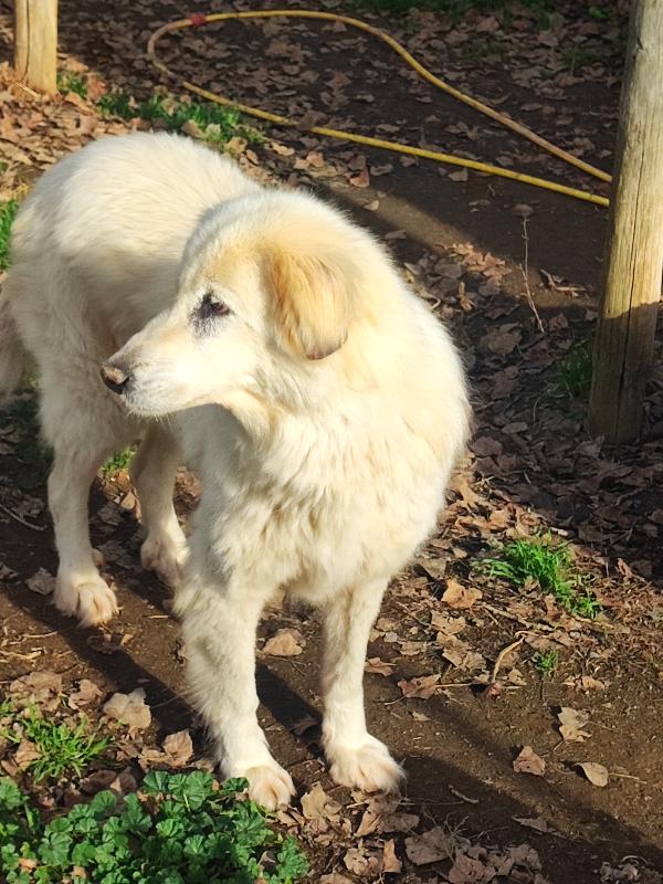 Venere, chi è più bella di lei..si trucca💕 Foto 2