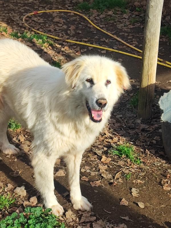 Venere, chi è più bella di lei..si trucca💕 Foto 3