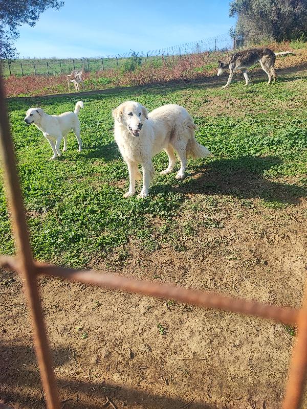 Venere, chi è più bella di lei..si trucca💕 Foto 4