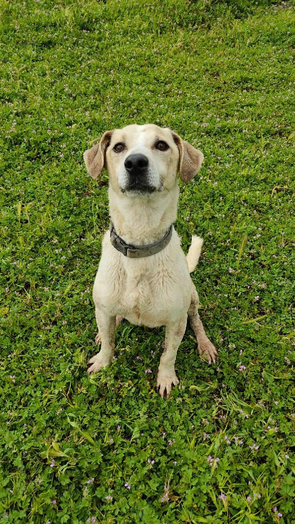 Jonny...facciamo Una Magia? 😍