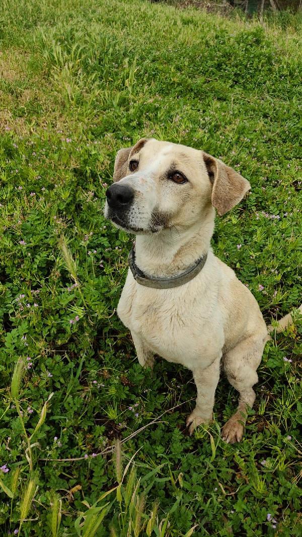 Jonny...facciamo una magia? 😍 Foto 2