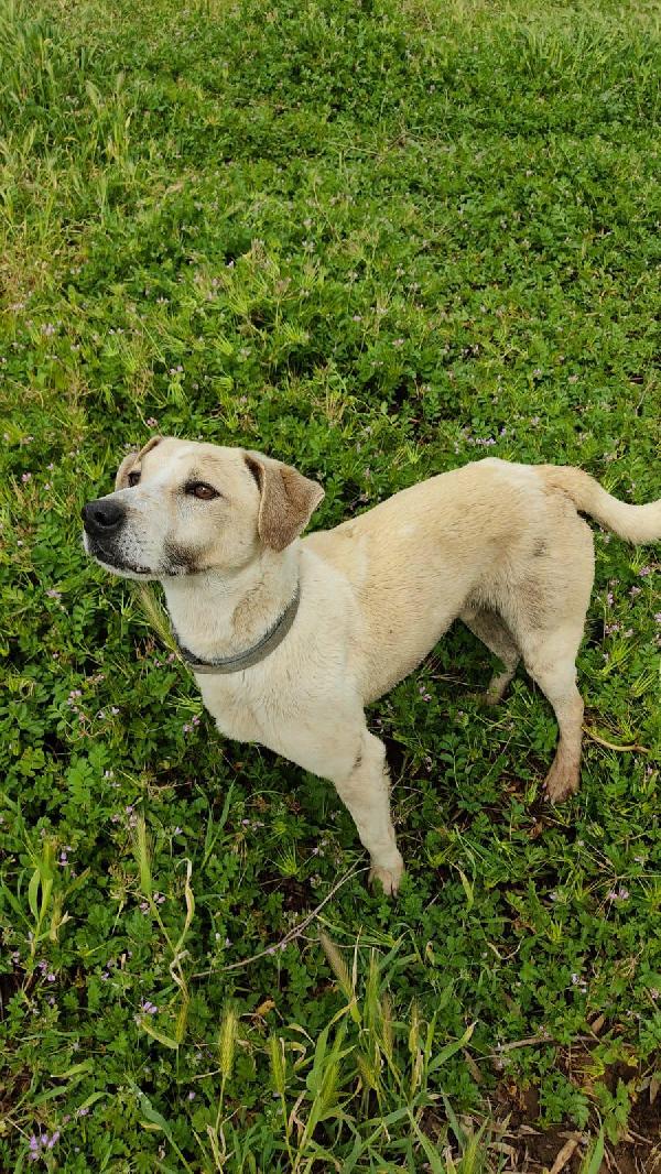 Jonny...facciamo una magia? 😍 Foto 3