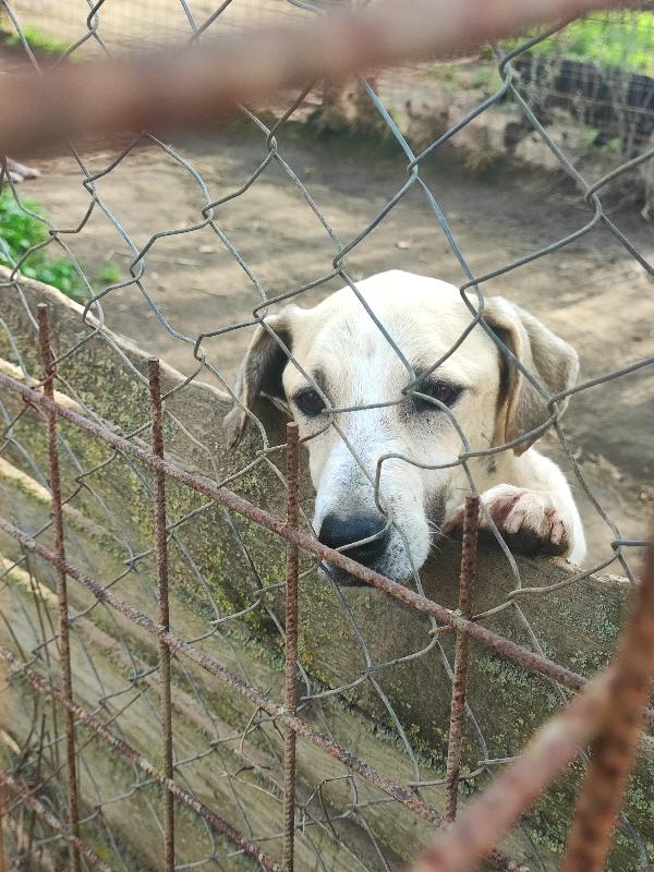 Jonny...facciamo una magia? 😍 Foto 4